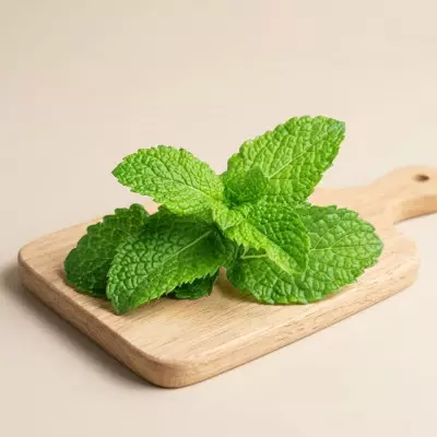 Imagen de Menta (40g)