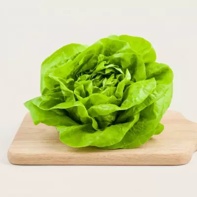 Imagen de Lechuga Maravilla 1ud (600g)