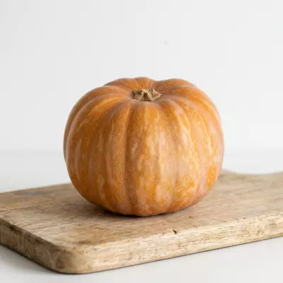 Imagen de Calabaza Redonda Mediana Eco (1ud)