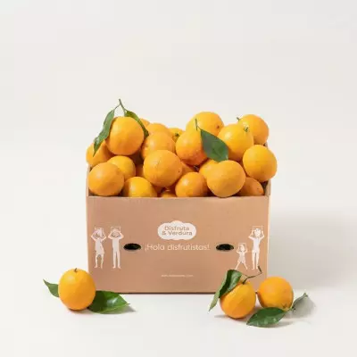 Imagen de Naranjas (9kg)