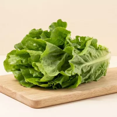 Imagen de Lechuga Larga 1ud (700g)