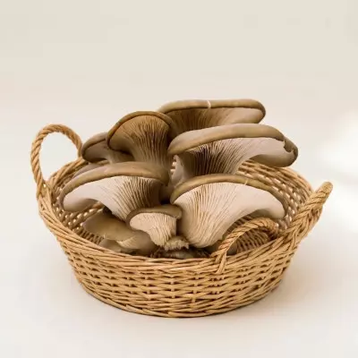 Imagen de Seta Girgola (300g)