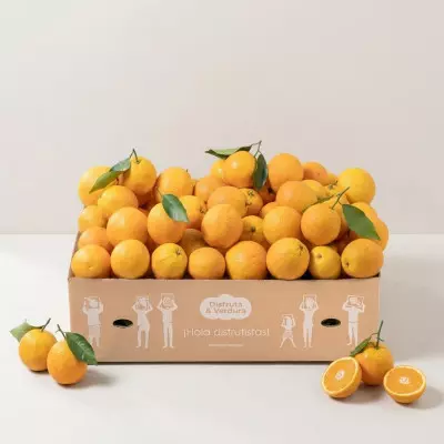 Imagen de Naranjas (15kg)